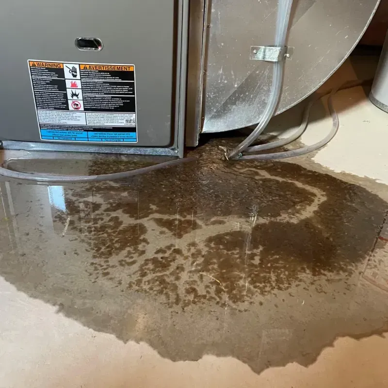 Appliance Leak Cleanup in Saint Paul, TX